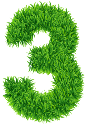 Image transparente de numéro de trois herbes 275x400 - Programme d'affiliation - GasDank