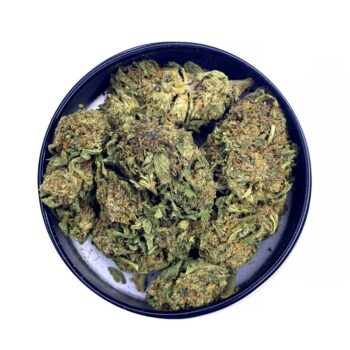 KAMIKAZI KING KUSH 2.JPG 4383 2 350x350 - King Kush - AAA - $90/Oz