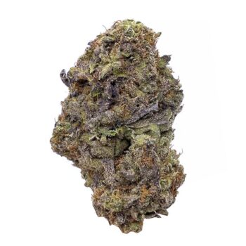 KAMIKAZI PAPAYA 1.JPG 707 2 350x350 - Papaya - AAA - $100/Oz