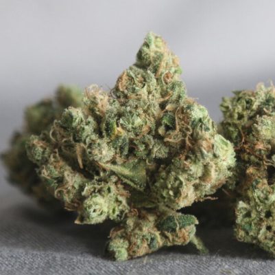 5 of the Top-Rated Cannabis Strains of All Time