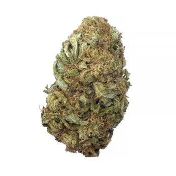 KAMIKAZI RECON 1.JPG 986 2 350x350 - Recon - AA+ - $65/Oz