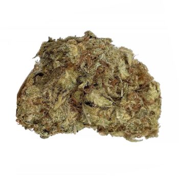 KAMIKAZI SOUR COOKIES 2.JPG 502 2 350x350 - Sour Cookies - AA+ - $65/Oz