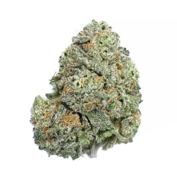 KAMIKAZI PINK GELATO 2.JPG 1929 2 350x350 - Pink Gelato - AAA+