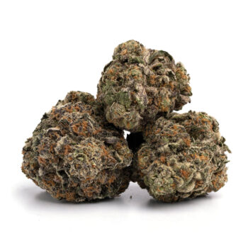 Jet Fuel Gelato 7 350x350 - Jet Fuel Gelato