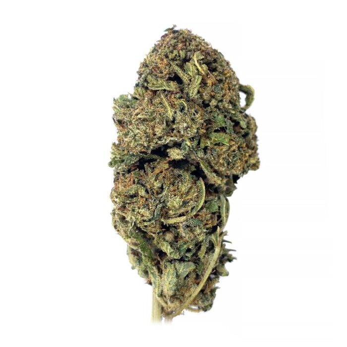 KAMIKAZI KING KUSH 1.JPG 811 2 700x699 - King Kush - AAA - $90/Oz