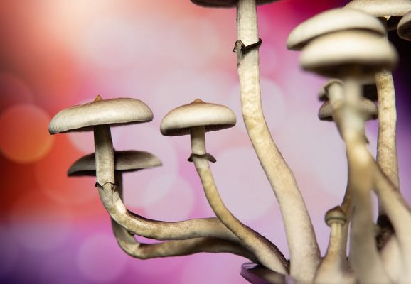 Psychedelics and Eating Disorders