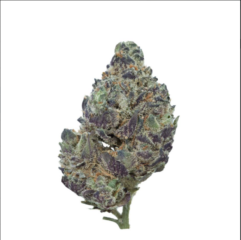 All Flower Weed Delivery Gasdank Torontos Best Online Dispensary Page 1 1675