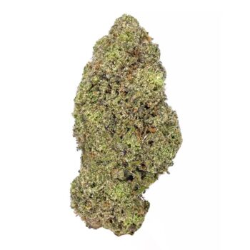 KAMIKAZI BLUE AMNESIA HAZE 2.JPG 2459 2 350x350 - Blue Amnesia Haze - AAA+