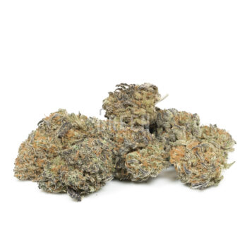 Wedding Crasher by Pluto Craft Cannabis 2 350x350 - Wedding Crasher by Pluto Craft Cannabis