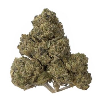 KAMIKAZI GREASY PINK BUBBA 2.JPG 519 2 350x350 - Greasy Pink - AAAA - $160/Oz