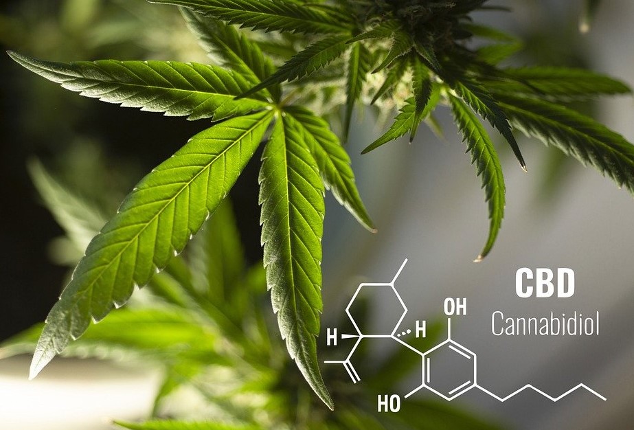 absolutely insane facts you need to know about cbd 4 - Absolutely Insane Facts You Need to Know About CBD