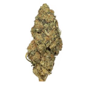 KAMIKAZI RECON 11.JPG 712 2 280x280 - Recon - AA+ - $65/Oz