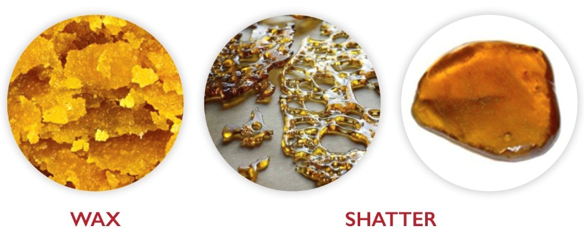 Difference Between Shatter And Wax