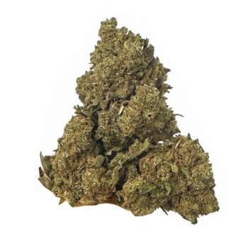 KAMIKAZI JUNGLE CAKE1 .JPG 299 2 1 350x350 - jungle cake - AAA - $110/Oz