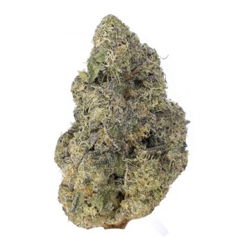 KAMIKAZI SECRET COOKIES X KUSH MINTS1.JPG 385 2 350x350 - Secret cookies x Kush Mints - AAAA