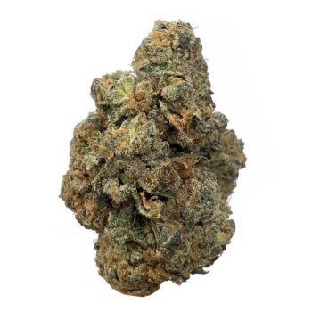 KAMIKAZI SD1.JPG 398 2 350x350 - Sour Diesel - AAA - $100/Oz