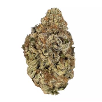 KAMIKAZI GELATO 45 1.JPG 405 2 350x350 - Gelato #45 - AAA - $120/Oz