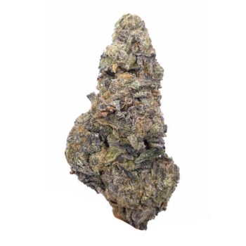 KAMIKAZI PINK ROZAY 1.JPG 692 2 350x350 - Pink Rozay - AAA - $130/Oz