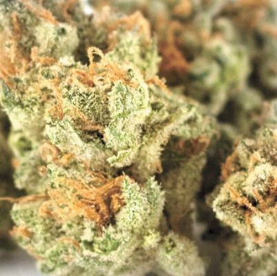 Meilleures variétés hybrides de cannabis pour les fumeurs en 2022