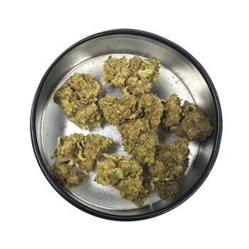 KAMIKAZI JUNGLE CAKE2.JPG 4018 2 1 350x350 - jungle cake - AAA - $110/Oz