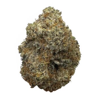 KAMIKAZI GHOST OG 13.JPG 526 2 350x350 - Ghost OG - AAA+ - $150/OG