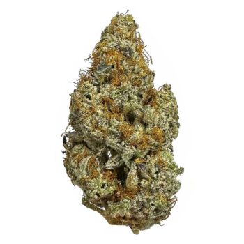 KAMIKAZI GARLIC BREATH 13.JPG 756 2 350x350 - Garlic Breath - AAAA - $190/Oz