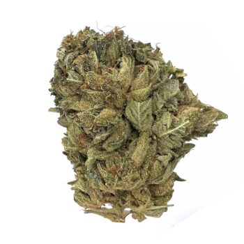 KAMIKAZI PURPLE KUSH 22.JPG 457 2 350x350 - Rockstar - AA+ - $85/Oz