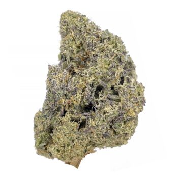 KAMIKAZI SECRET COOKIES X KUSH MINTS2.JPG 627 2 350x350 - Secret cookies x Kush Mints - AAAA