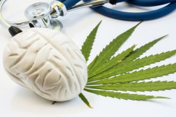 Meilleures variétés de cannabis pour la concentration