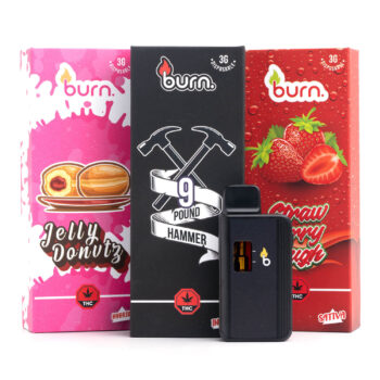 Burn 3Gram Disposable Vape Pen Bundle Shot 350x350 - 3g Disposable Vapes (Burn)