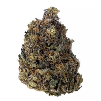 KAMIKAZI PINK KUSH 1.JPG 860 2 350x350 - Pink Kush - AAAA