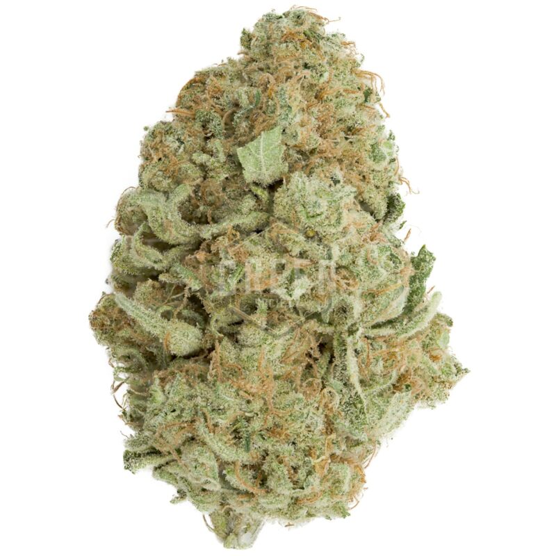 Weed Delivery GasDank | Toronto's Best Online Dispensary