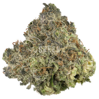 Blueberry by DJ Short 350x350 - Blueberry by DJ Short