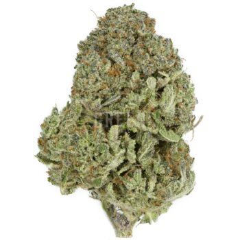 Tropic Thunder Strain 350x350 - Tropic Thunder