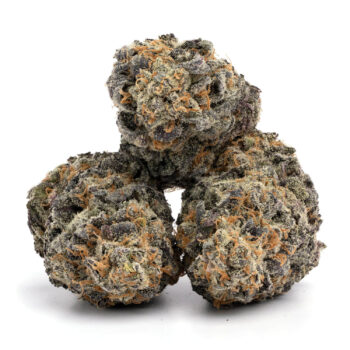 Purple Urkle 2 350x350 - Purple Urkle