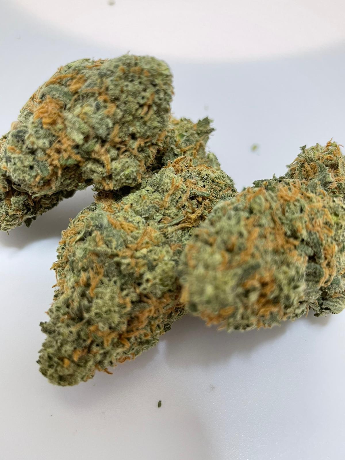 mango OG - mango OG