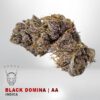 BLACK DOMINAKAMIKAZI 143 WEED DELIVERY TORONTO 100x100 - Black Domina - AA - $75/Oz