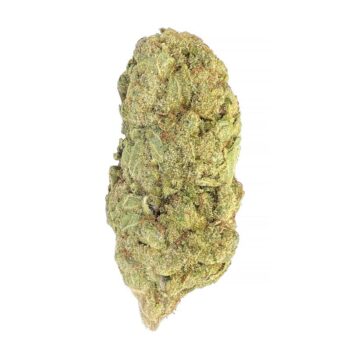 KAMIKAZI HASH PLANT 1 COPY.JPG 3294 2 350x350 - Hash Plant - AAA - $110/Oz