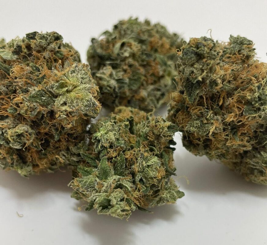 Weed Delivery GasDank | Toronto's Best Online Dispensary