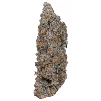 KAMIKAZI JET FUEL GELATO 222.JPG 703 2 350x350 - Jet Fuel Gelato - AAAA - Organic