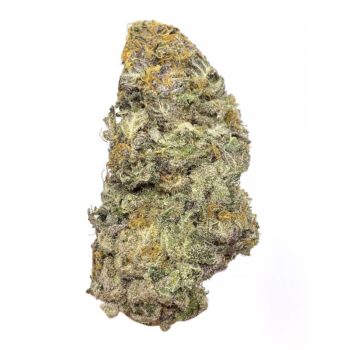 KAMIKAZI TWISTED MONKEY 2.JPG 585 2 350x350 - Twisted monkey - AAAA - $180/Oz