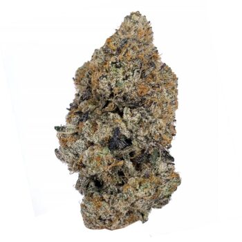 KAMIKAZI PLATINUM PUNCH 2.JPG 662 2 350x350 - Platinum Punch - AAAA - $185/Oz