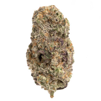 Mendo Breath 1 350x350 - Mendo Breath