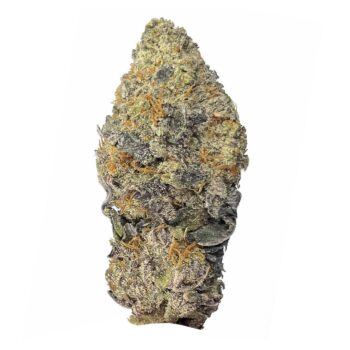 KAMIKAZI STRAWBERRY COUGH 1.JPG 462 2 350x350 - Strawberry Cough - AAA+ - $140/Oz