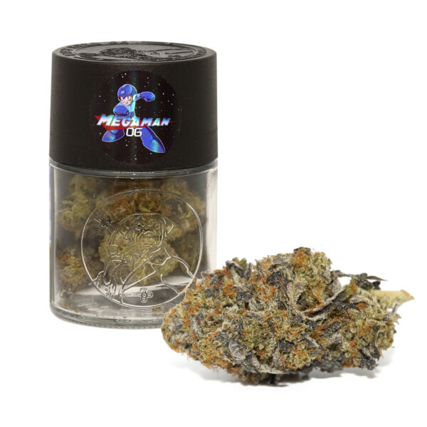 3. Megaman Og new 600x600 1 - 7G Waltz Premium Flower Jars - Indica