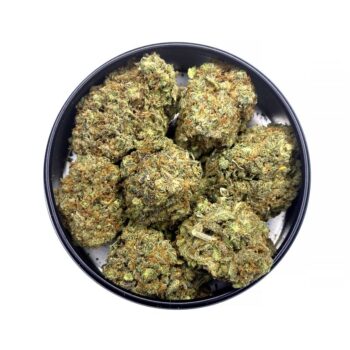 KAMIKAZI BUBBLEGUM KUSH 2.JPG 5428 2 350x350 - Bubblegum Kush - AAA