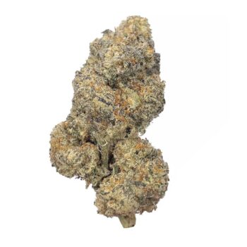 KAMIKAZI SUGAR CANE 11.JPG 446 2 350x350 - Sugar Cane - AAAA - $195/Oz