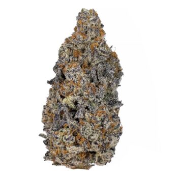 KAMIKAZI JET FUEL GELATO 111.JPG 650 2 350x350 - Jet Fuel Gelato - AAAA - Organic