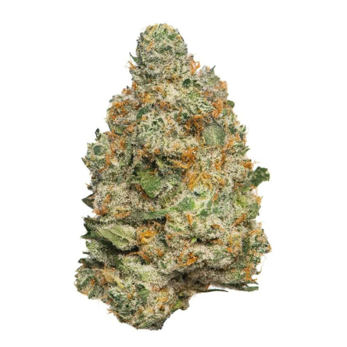 Untitled design 3 7 - Apple Fritter - Sativa