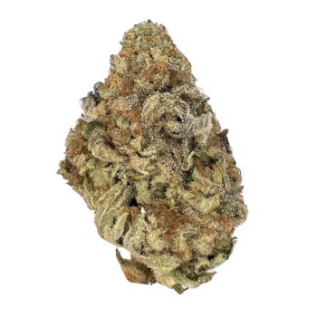 KAMIKAZI GELATO 45 2.JPG 381 2 350x350 - Gelato #45 - AAA - $120/Oz